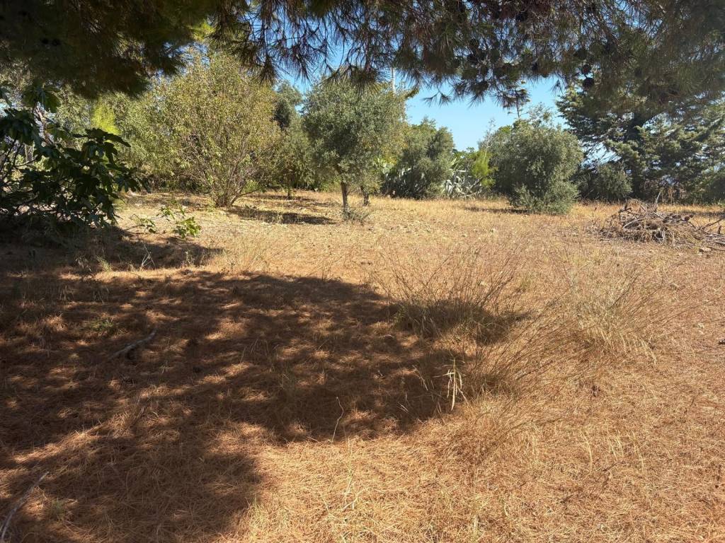 Rustico / casale a Casteldaccia in Contrada Corvo Valle - Foto 2