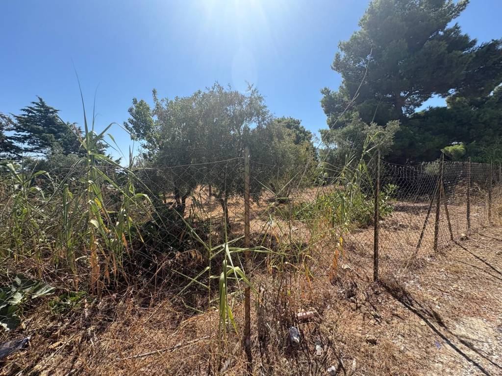 Rustico / casale a Casteldaccia in Contrada Corvo Valle - Foto 3