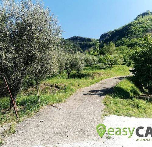 Terreno a Montecorvino rovella in Contrada Cotone 6 - Foto 3
