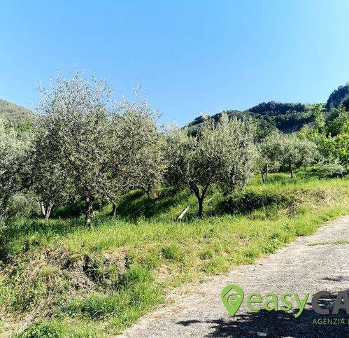 Terreno a Montecorvino rovella in Contrada Cotone 6 - Foto 4