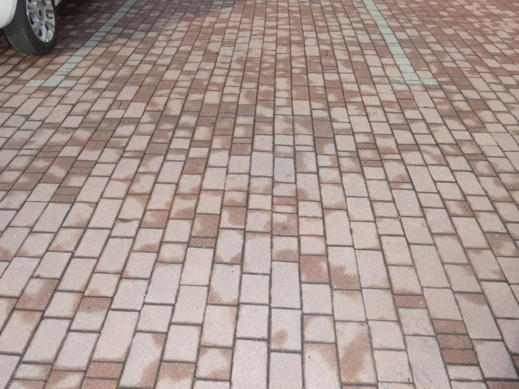 Immobile a Alba in Via Cuneo - Foto 5