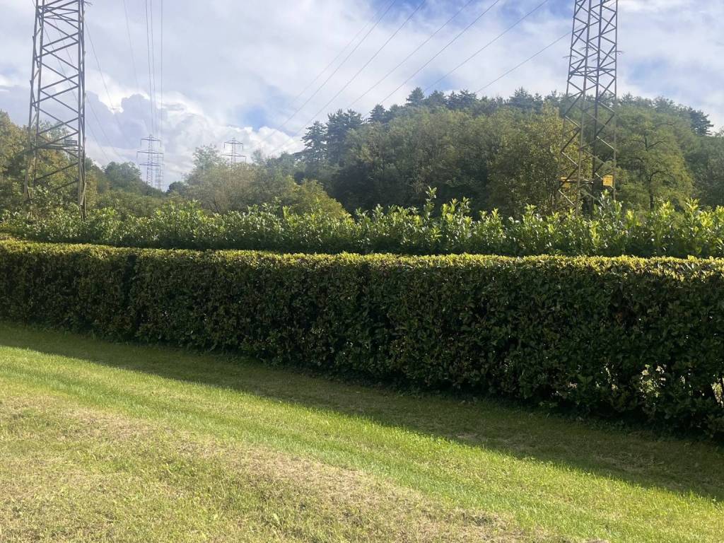 Terreno a Bulciago - Foto 2