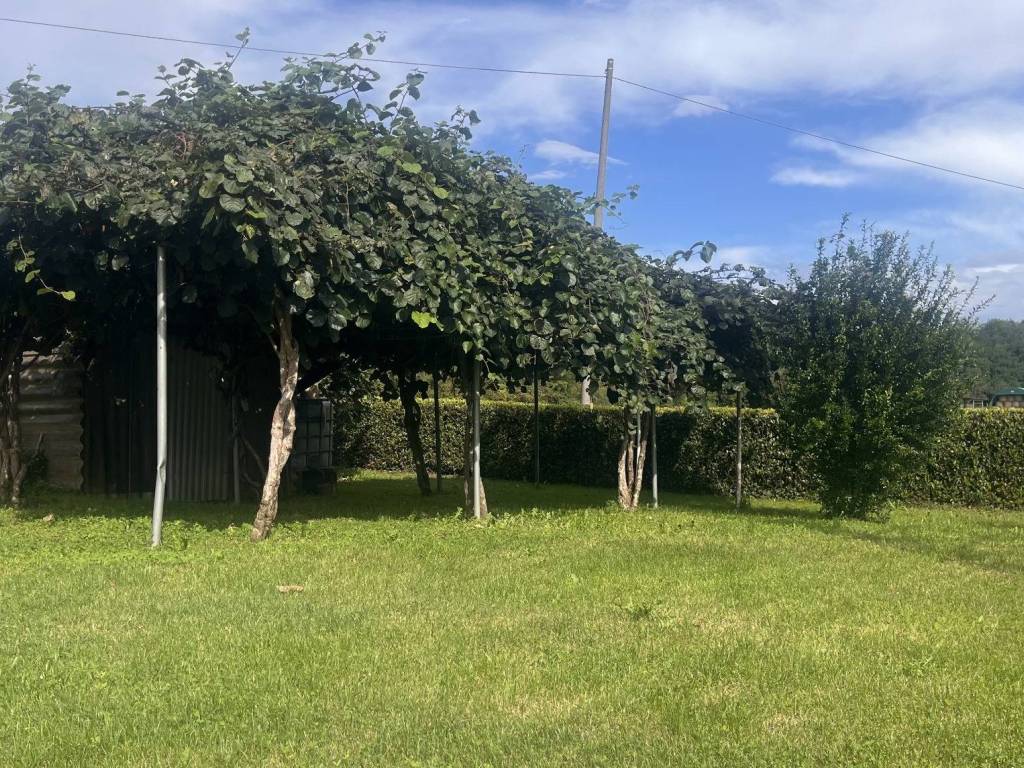 Terreno a Bulciago - Foto 5