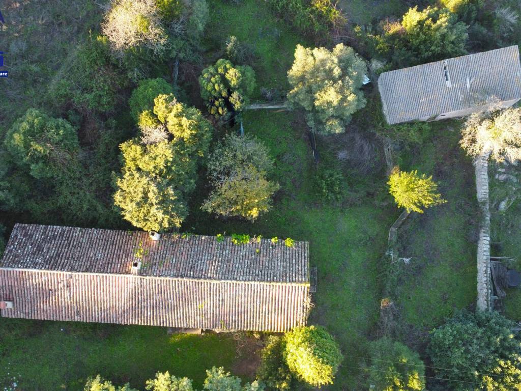 Rustico / casale a Luogosanto in SS133 - Foto 3