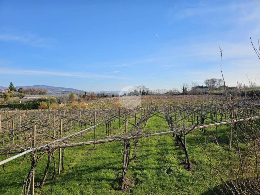 Terreno a Pastrengo in Località Monticelli - Foto 2