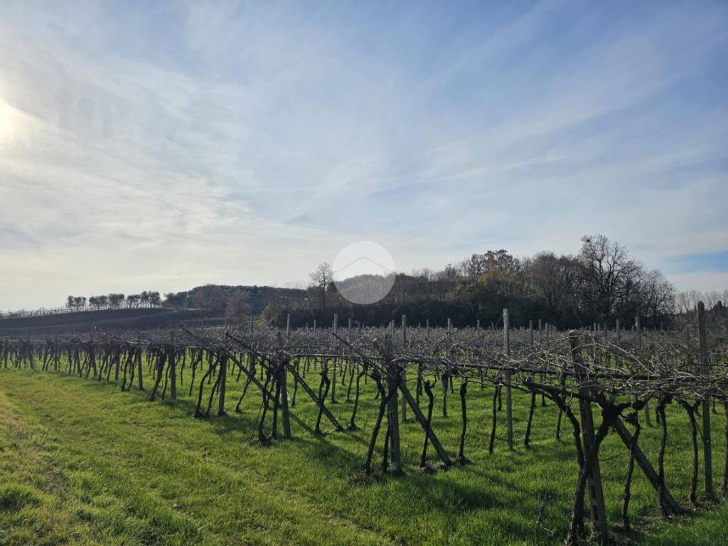 Terreno a Pastrengo in Località Monticelli - Foto 3