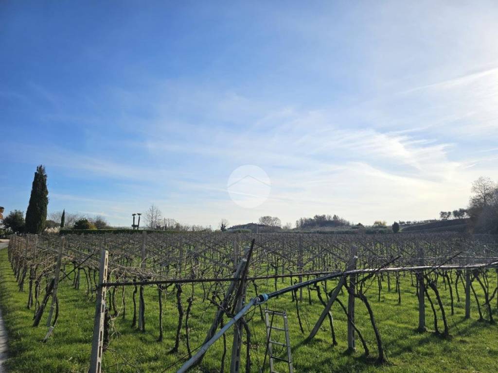 Terreno a Pastrengo in Località Monticelli - Foto 5
