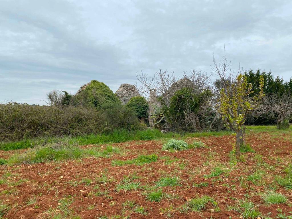 Rustico / casale a Ostuni in Contrada Settarte - Foto 2