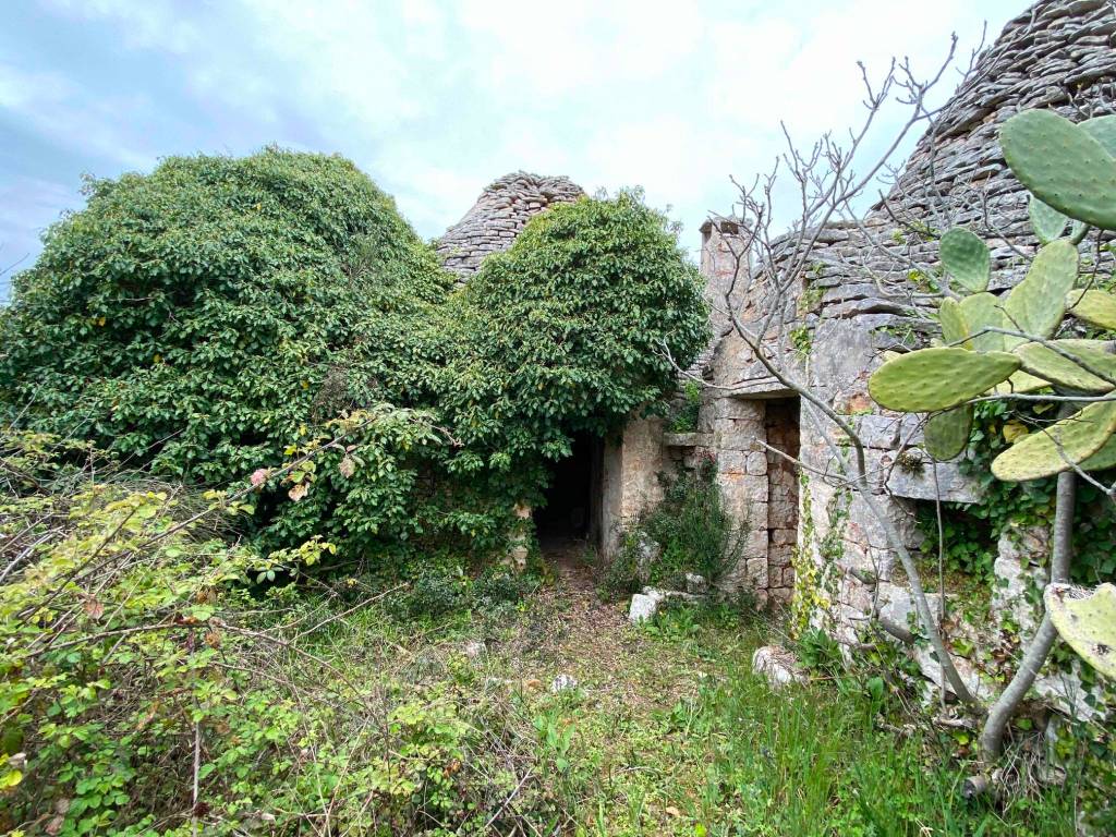 Rustico / casale a Ostuni in Contrada Settarte - Foto 3