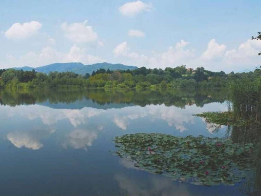 Appartamento a Merate in via SAN GIUSEPPE 12 - Foto 2