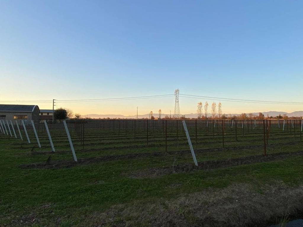 Terreno a San biagio di callalta in Via Goito - Foto 2