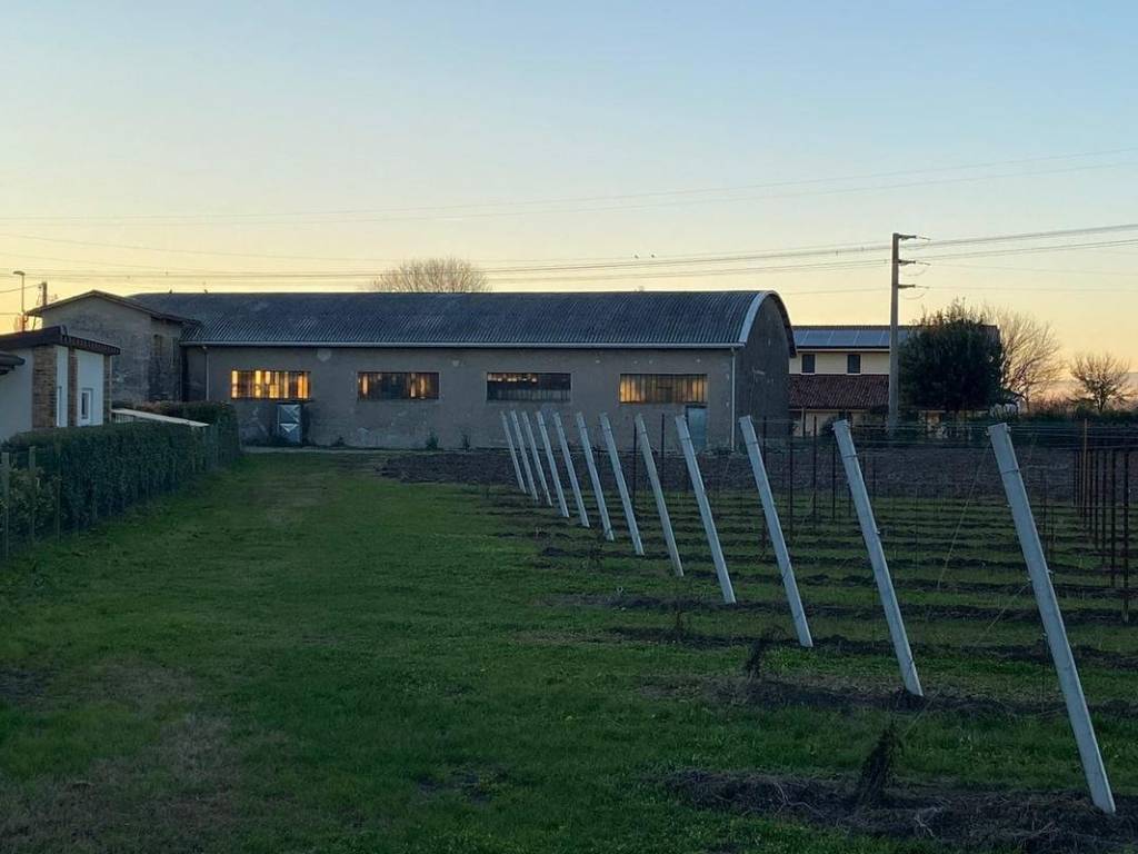 Terreno a San biagio di callalta in Via Goito - Foto 4