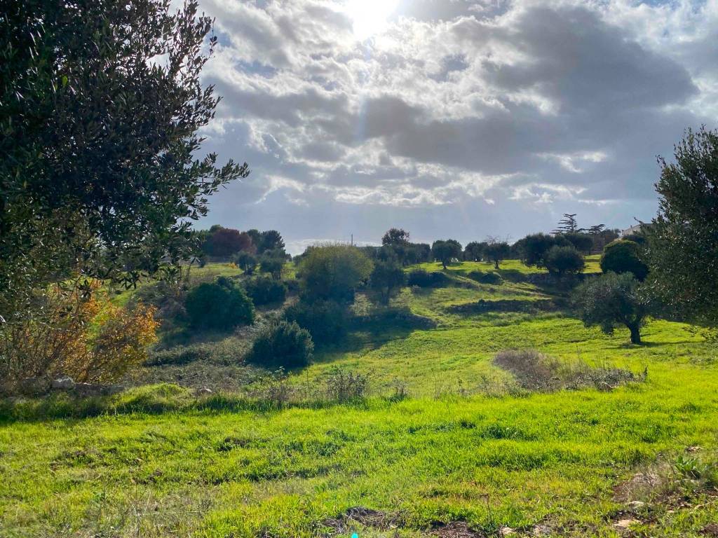 Rustico / casale a Martina franca in Strada Ferrari - Foto 5