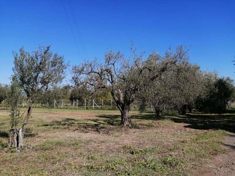 Terreno a Lanuvio - Foto 4