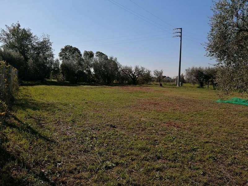 Terreno a Lanuvio - Foto 5