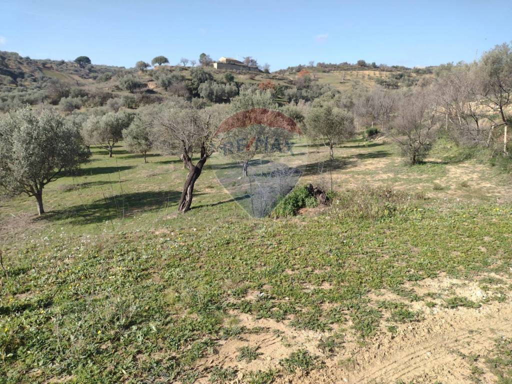 Rustico / casale a Piazza armerina in C.da Gatta - Foto 3
