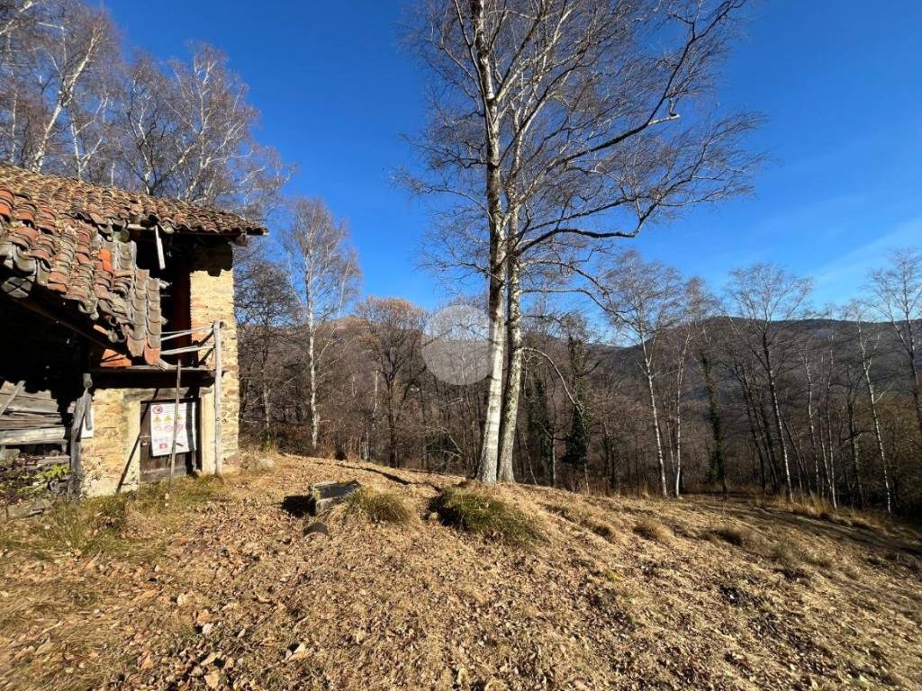 Rustico / casale a Sagliano micca in Frazione Oneglie - Foto 4