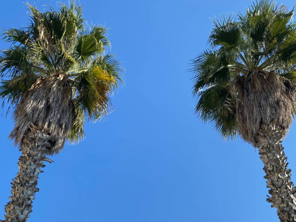 Appartamento a Favignana in Via Libertà - Foto 2