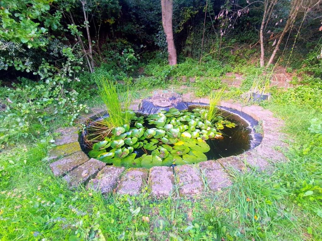 Rustico / casale a Sorano in Strada Provinciale Onano - Foto 4