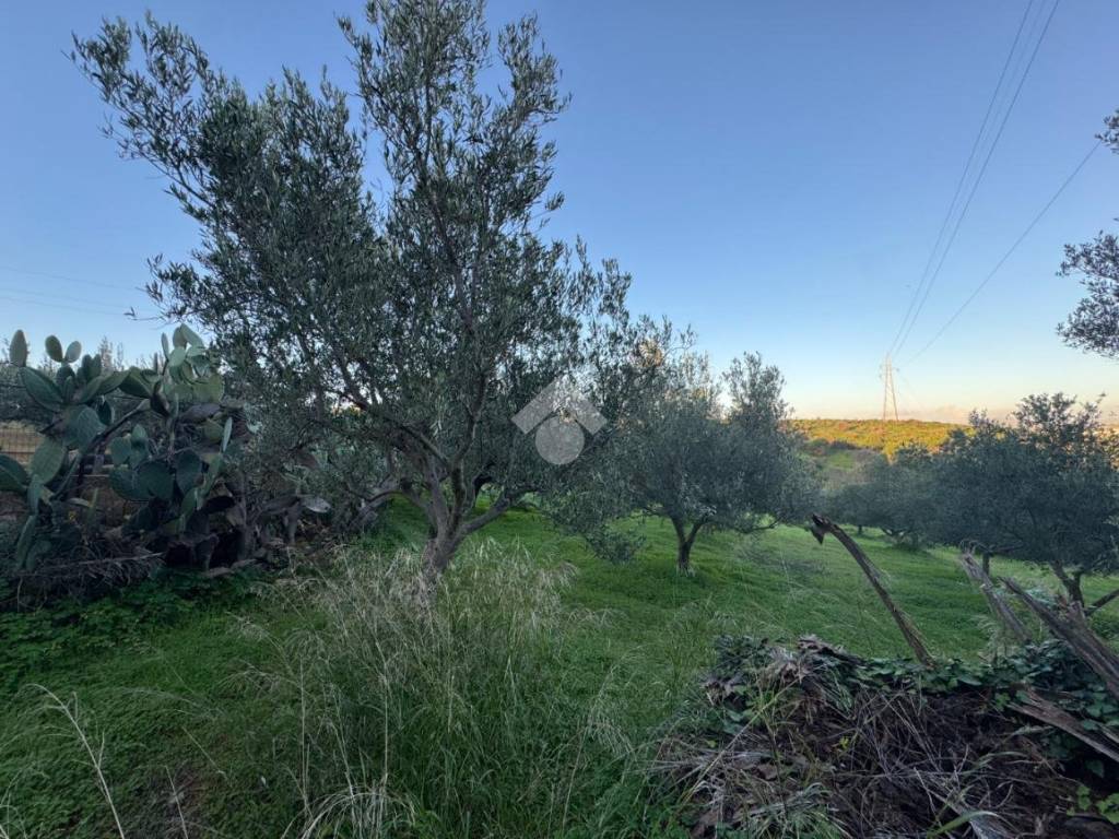 Casa indipendente a Agrigento in Via Contrada Due Ganee - Foto 2