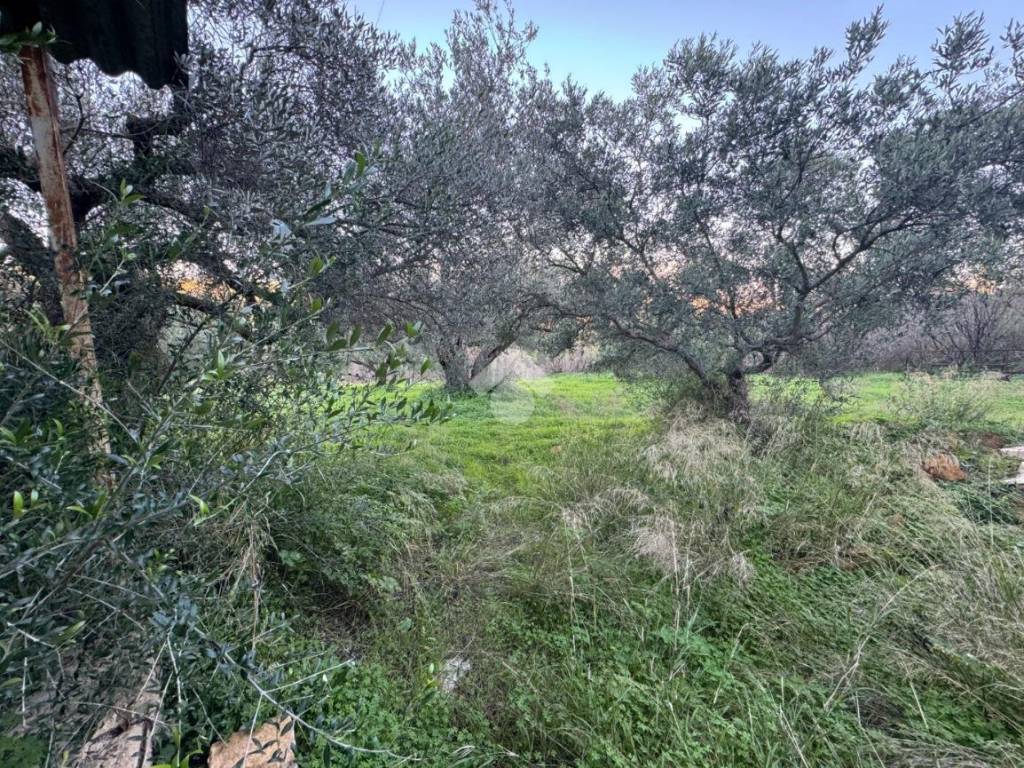 Casa indipendente a Agrigento in Via Contrada Due Ganee - Foto 4