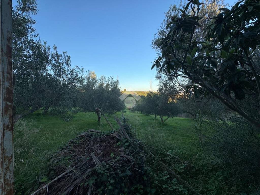 Casa indipendente a Agrigento in Via Contrada Due Ganee - Foto 5