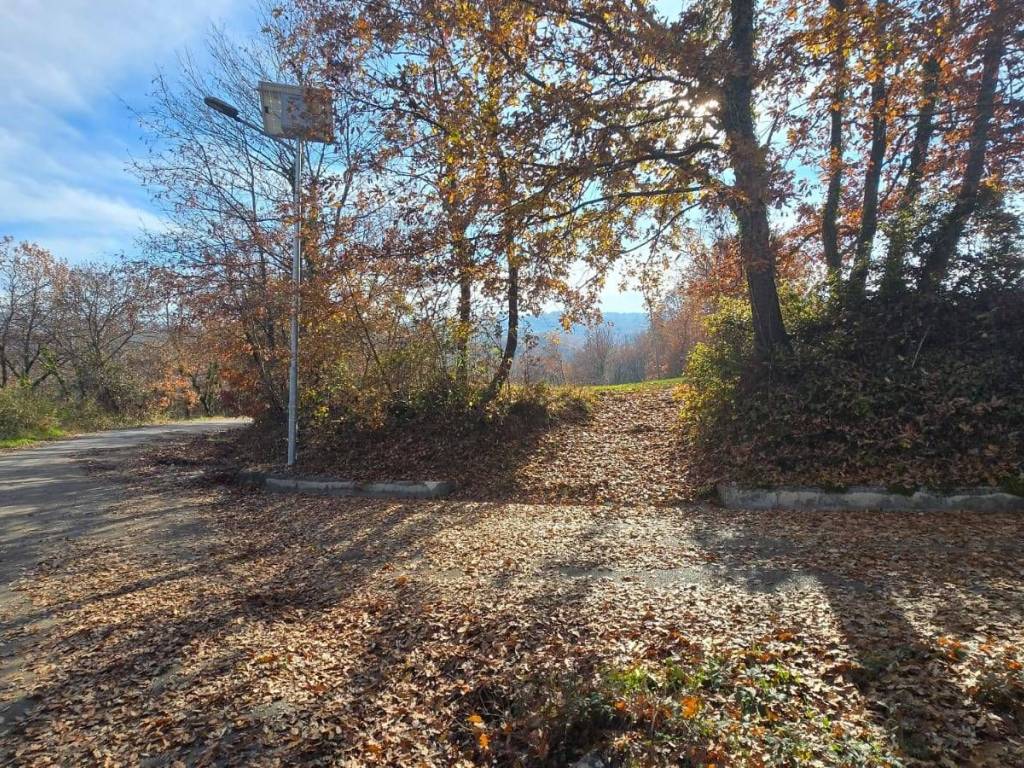 Terreno a Castelvetere sul calore in C/da Cipollara - Foto 2