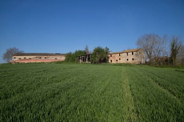 Rustico / casale a Marsciano in Strada Villa Nuova - Foto 3