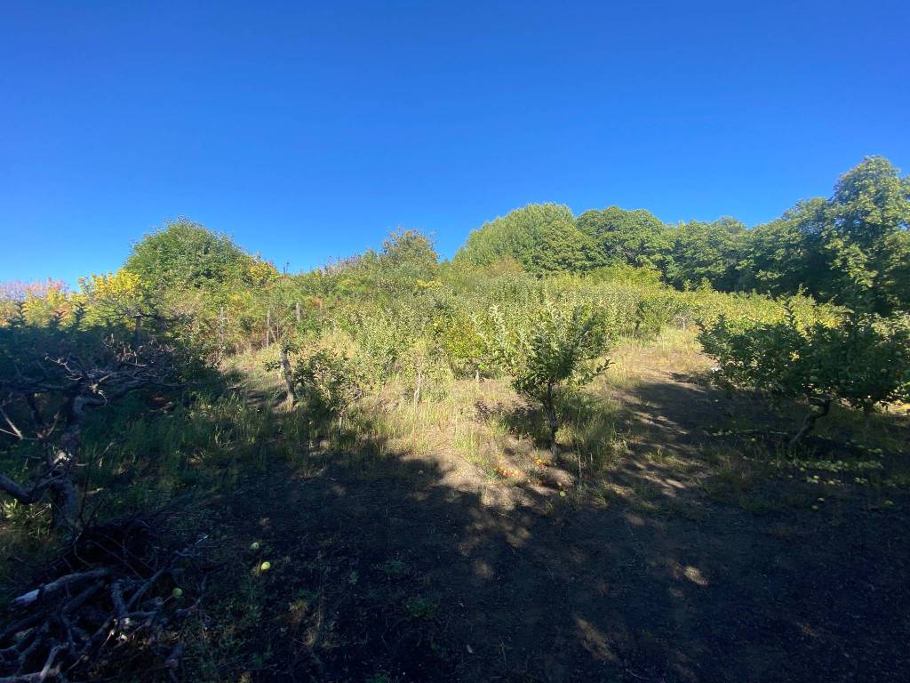 Terreno a Giarre in Via della Regione - Foto 4