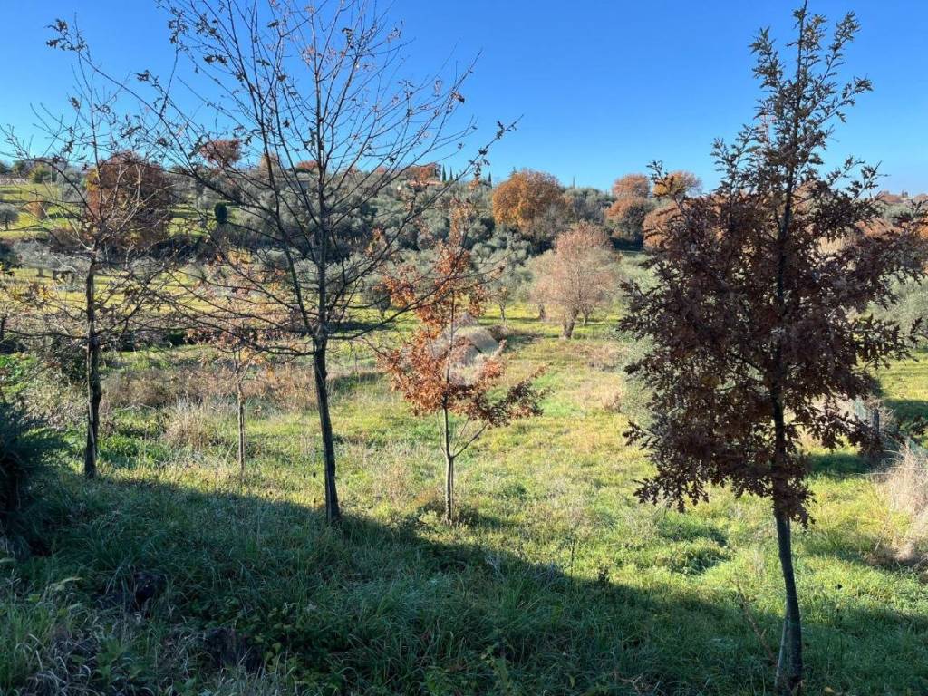 Appartamento a Amelia in STRADA AMERINA - Foto 5