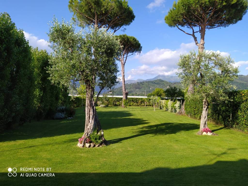 Rustico / casale a Camaiore - Foto 2