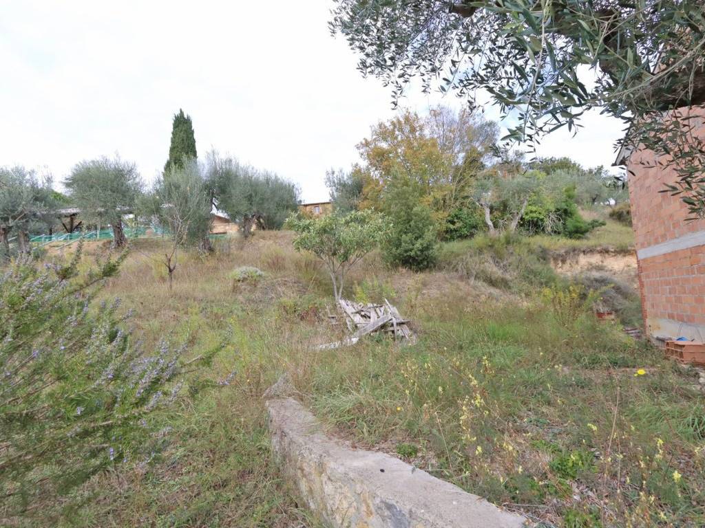 Villa a Trequanda in Viale della Libertà - Foto 4