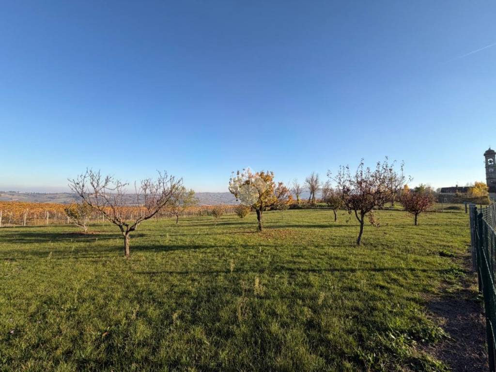 Terreno a Santa maria della versa in Località Sannazzaro - Foto 4