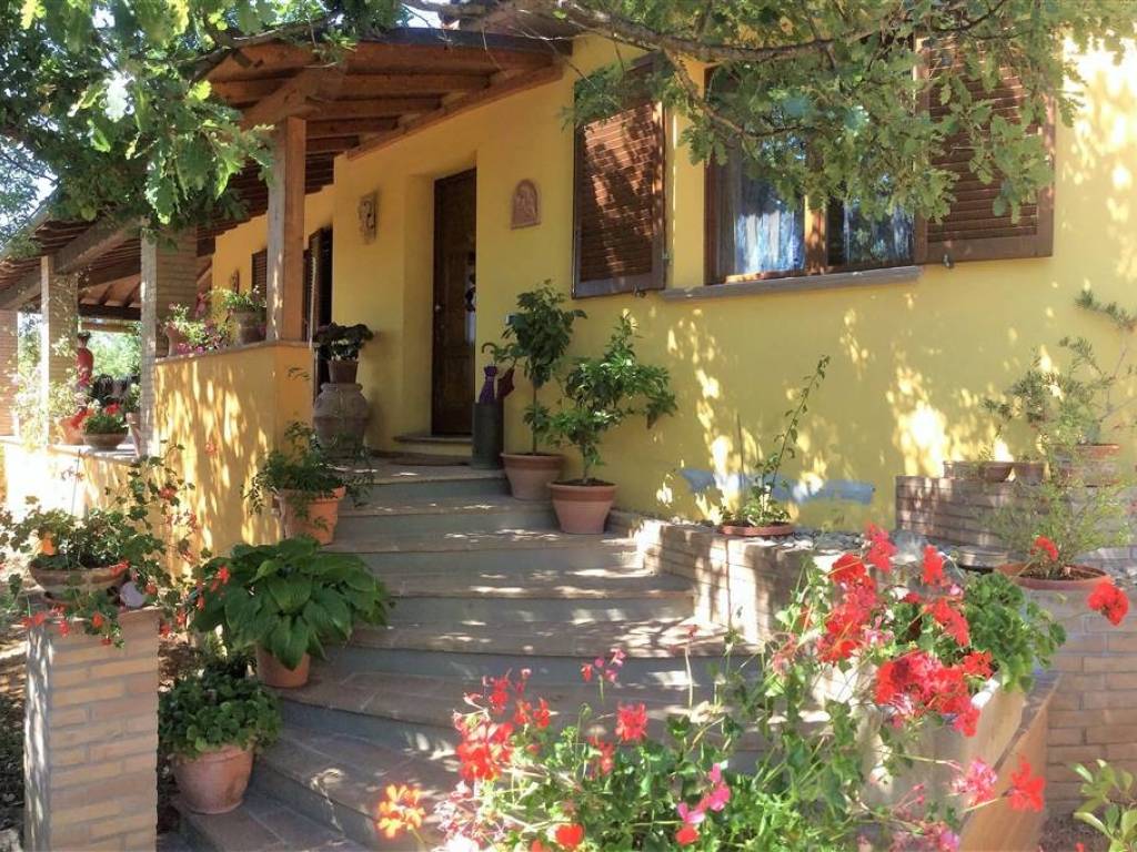 Rustico / casale a Suvereto - Foto 4