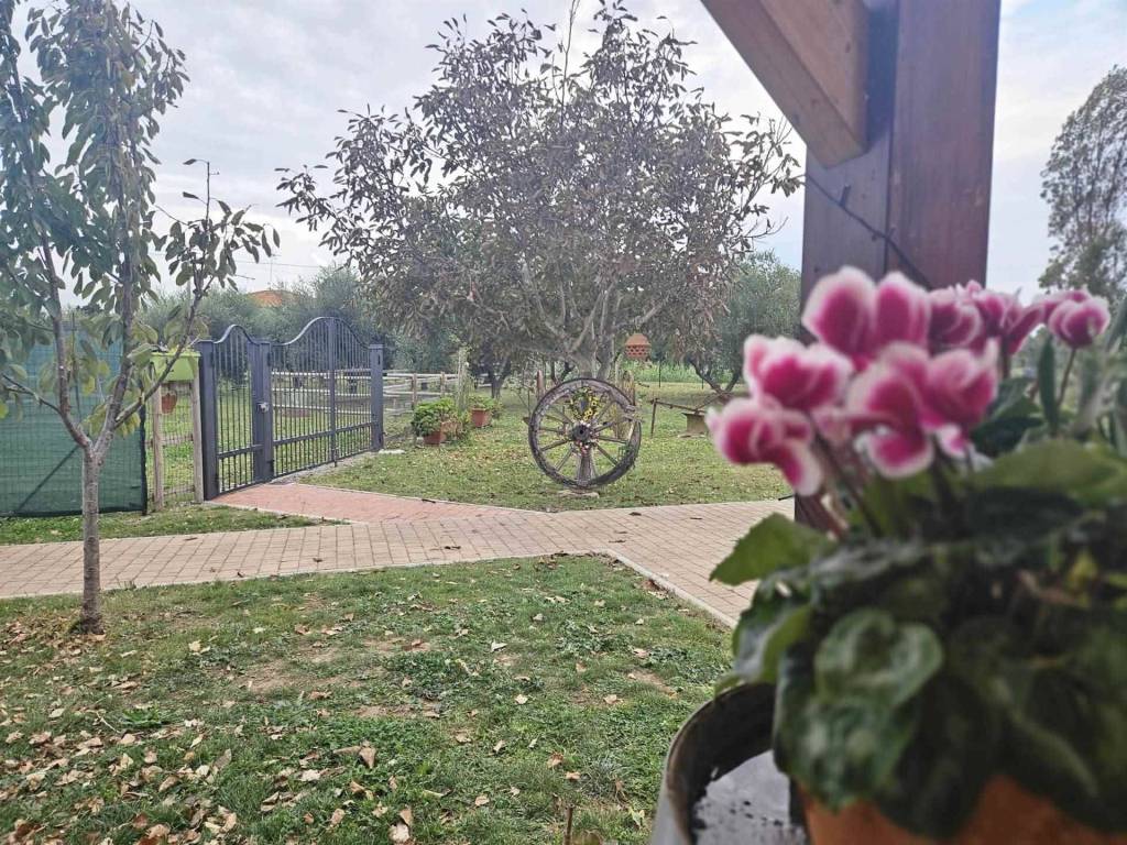 Appartamento a Campiglia marittima - Foto 3