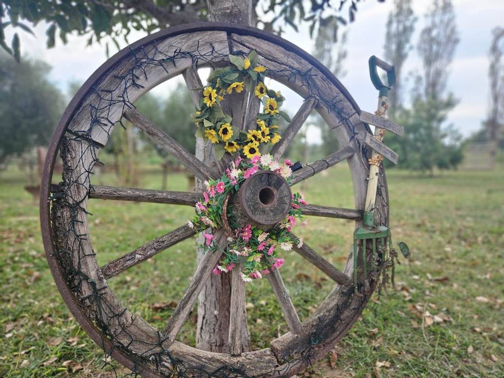 Appartamento a Campiglia marittima - Foto 5