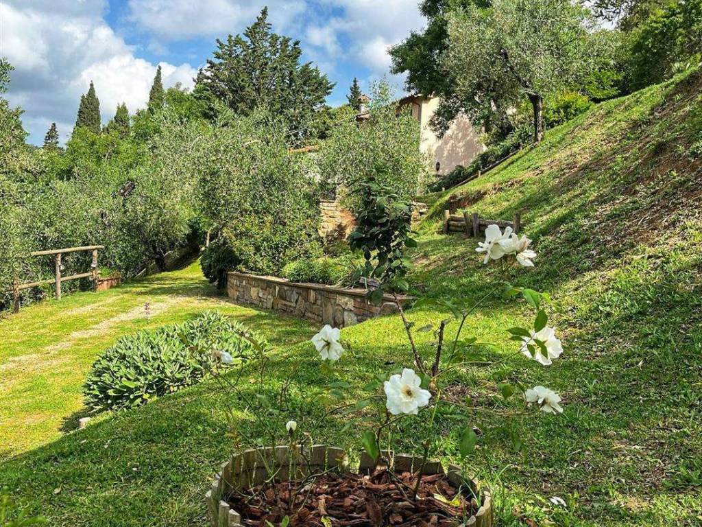 Rustico / casale a Castagneto carducci - Foto 2