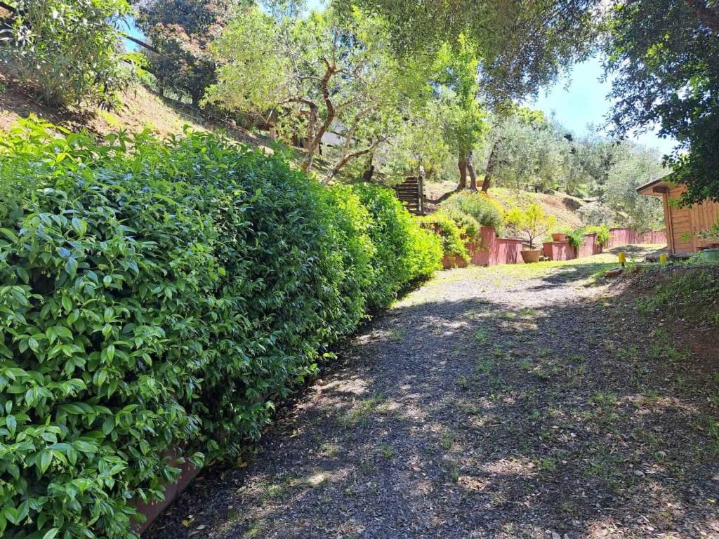 Rustico / casale a Castagneto carducci - Foto 3