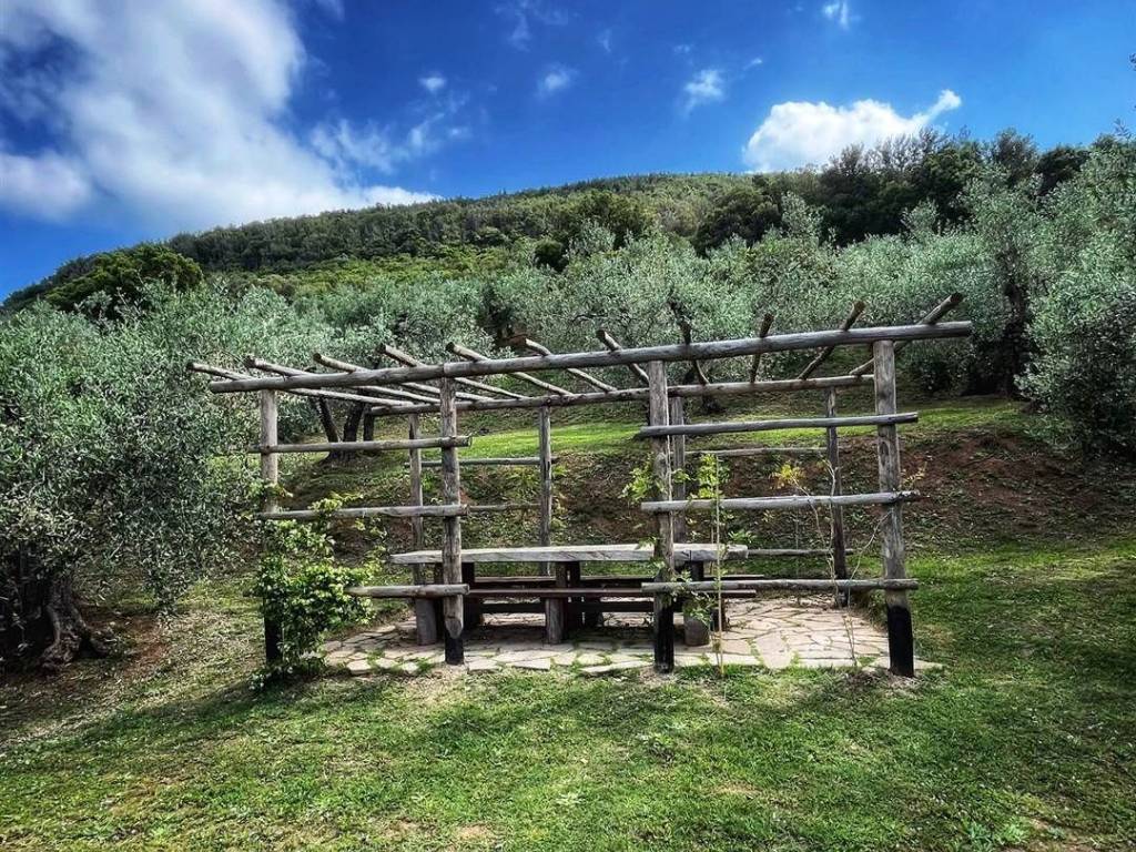 Rustico / casale a Castagneto carducci - Foto 4