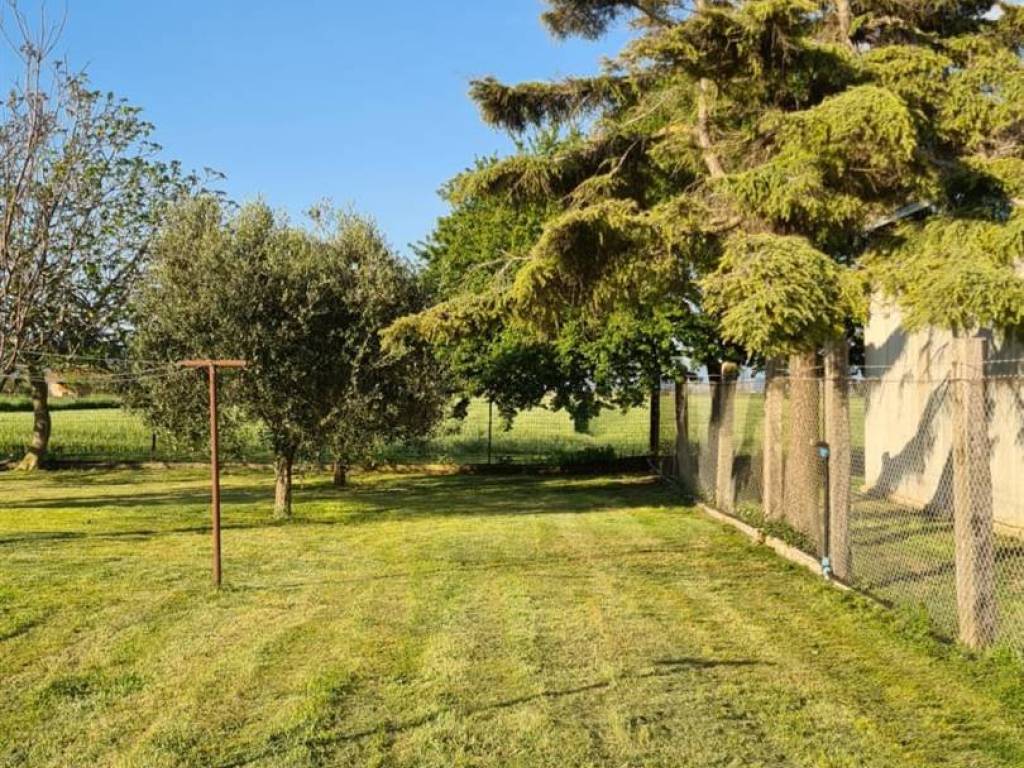 Appartamento a Campiglia marittima in Affitti - Foto 2