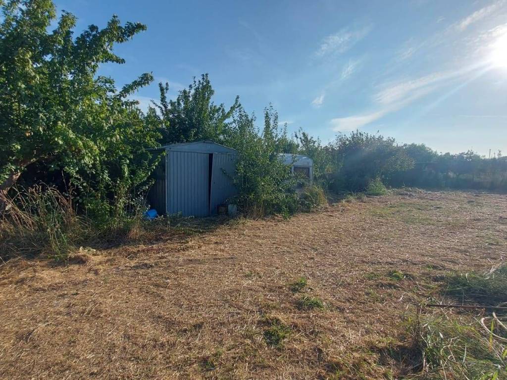 Terreno a Campiglia marittima - Foto 2
