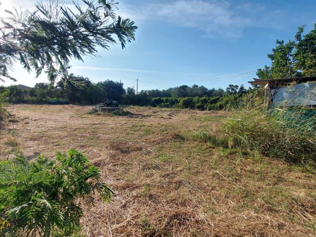 Terreno a Campiglia marittima - Foto 4