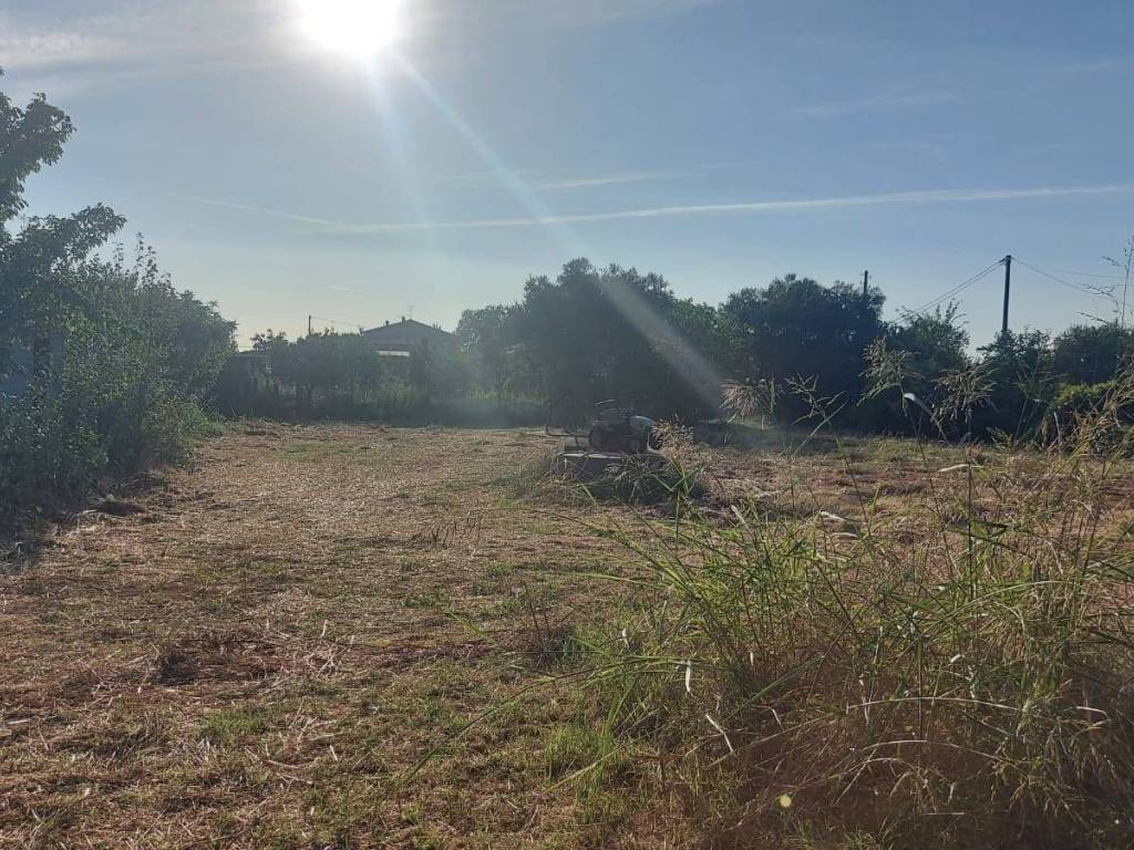 Terreno a Campiglia marittima - Foto 5