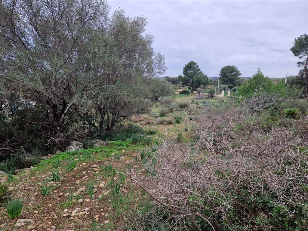 Appartamento a Noto - Foto 3