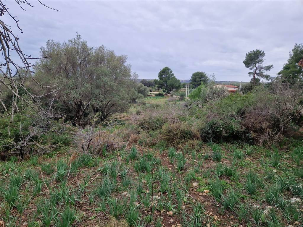 Appartamento a Noto - Foto 4