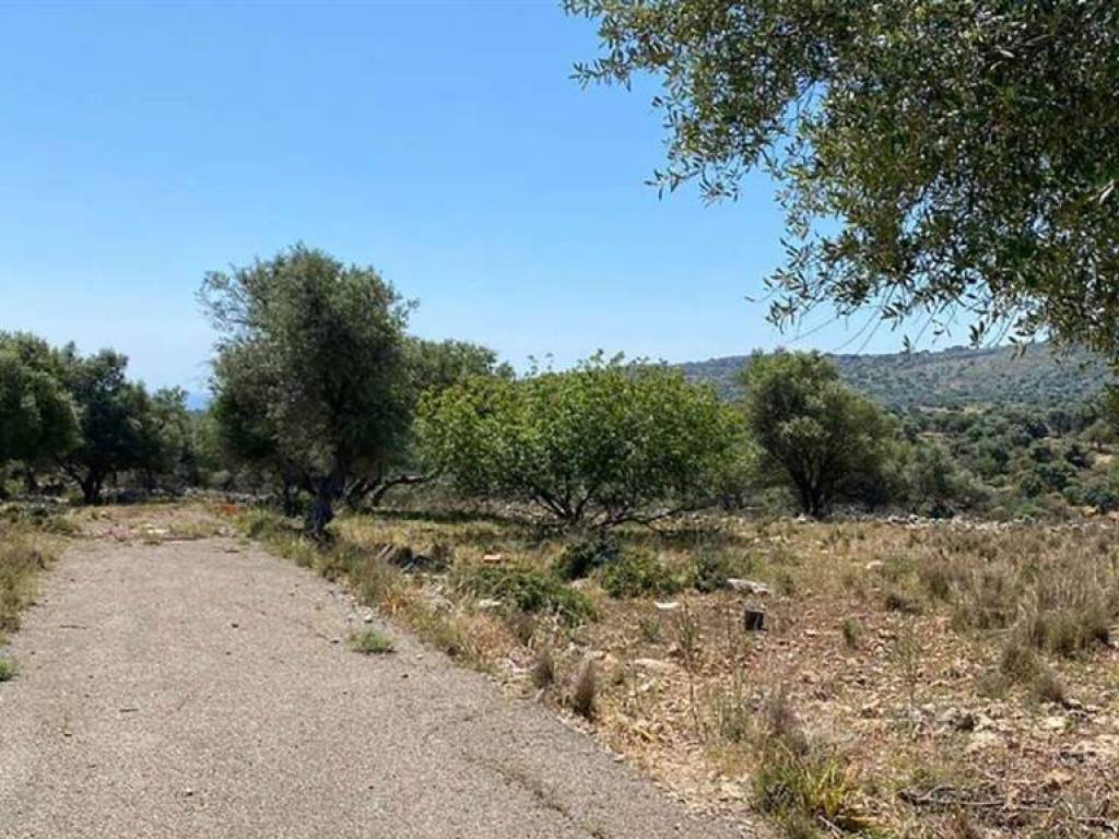 Terreno a Noto - Foto 2