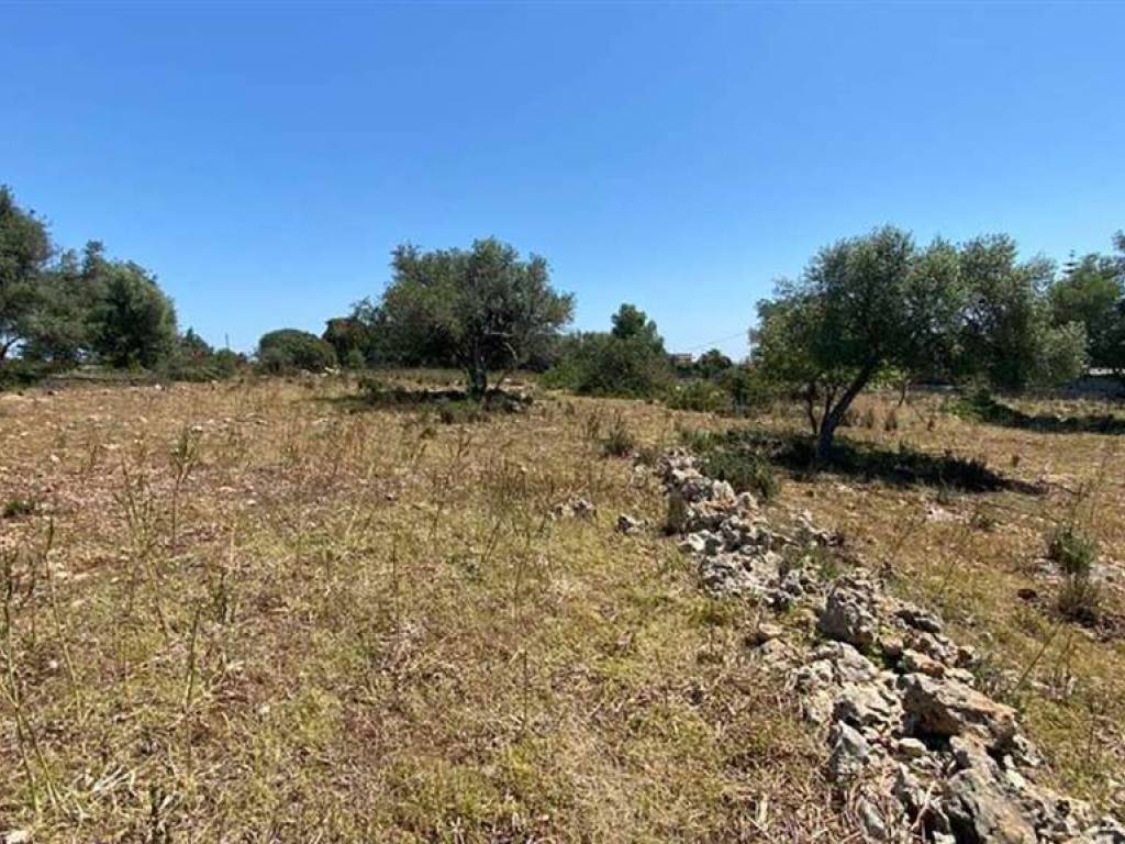 Terreno a Noto - Foto 5