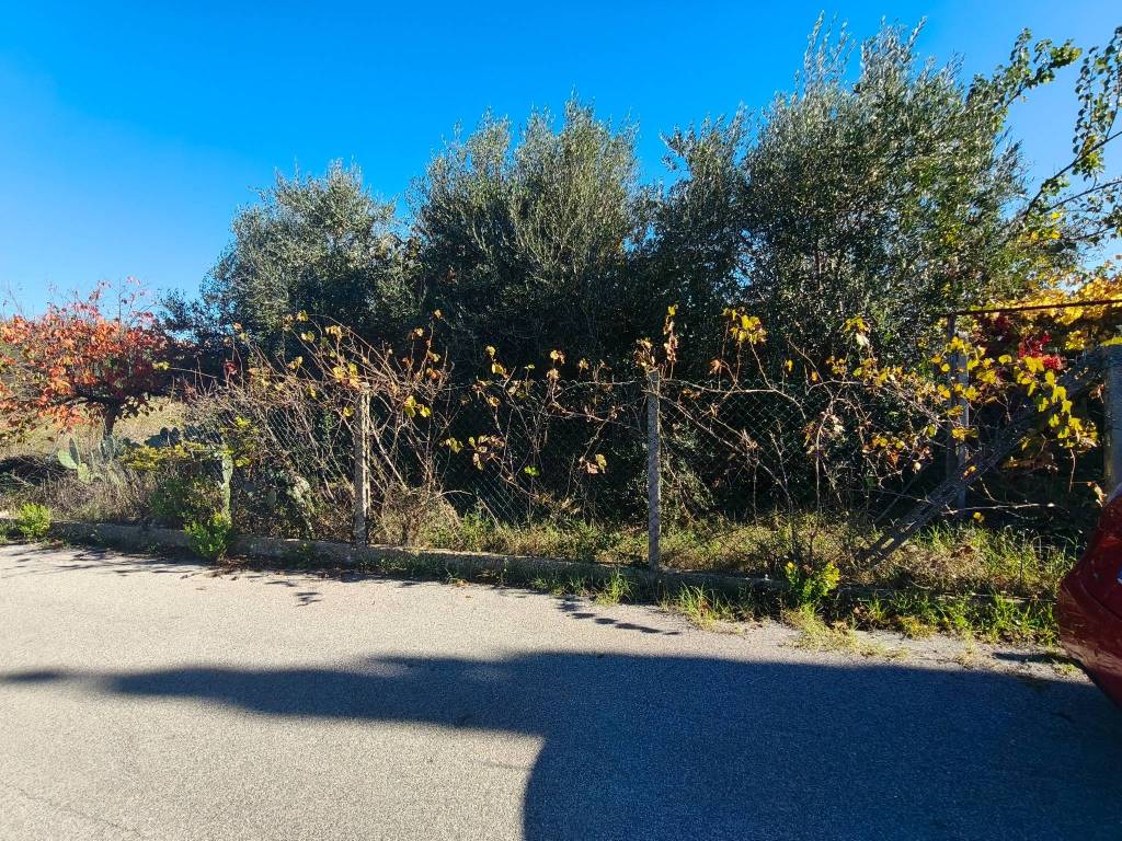 Terreno a Albano laziale in Via Savona - Foto 4