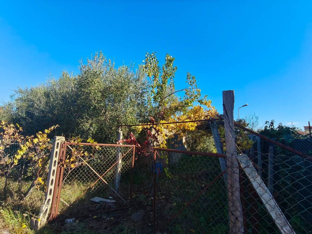 Terreno a Albano laziale in Via Savona - Foto 5