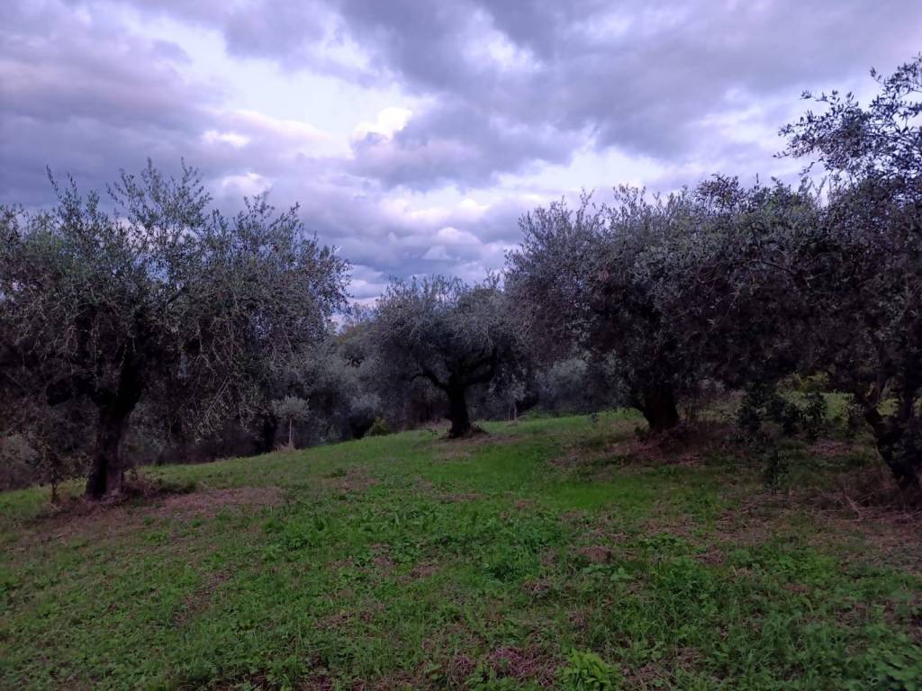 Terreno a Montefiore conca in Via Santa Maria della Neve - Foto 3